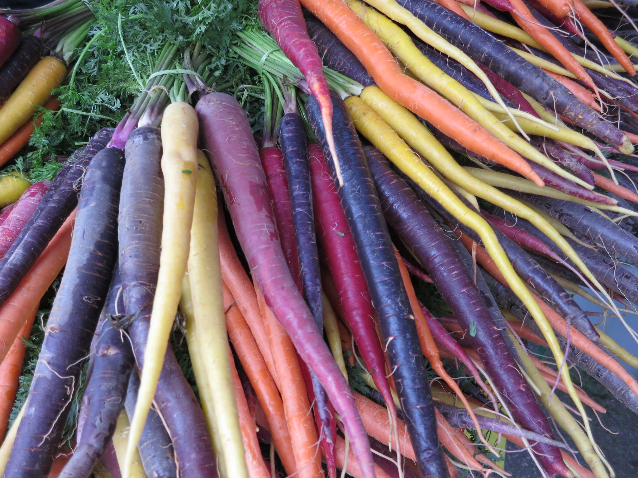 The vegan shift | Eurozine