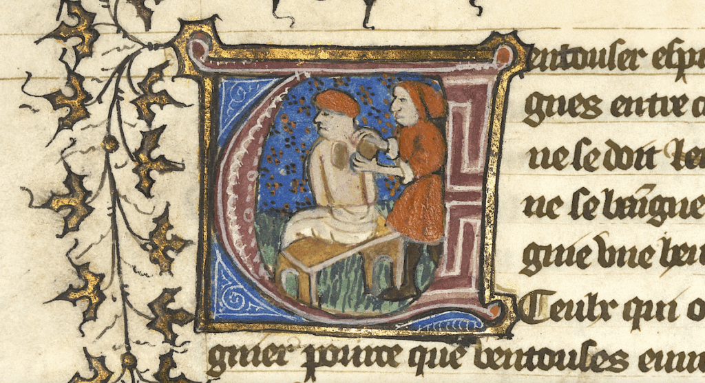 Tons of of Medieval Medical Manuscripts with Unusual Cures Get Digitized & Put On-line: From Leeches to Crushed Weasel Testicles
